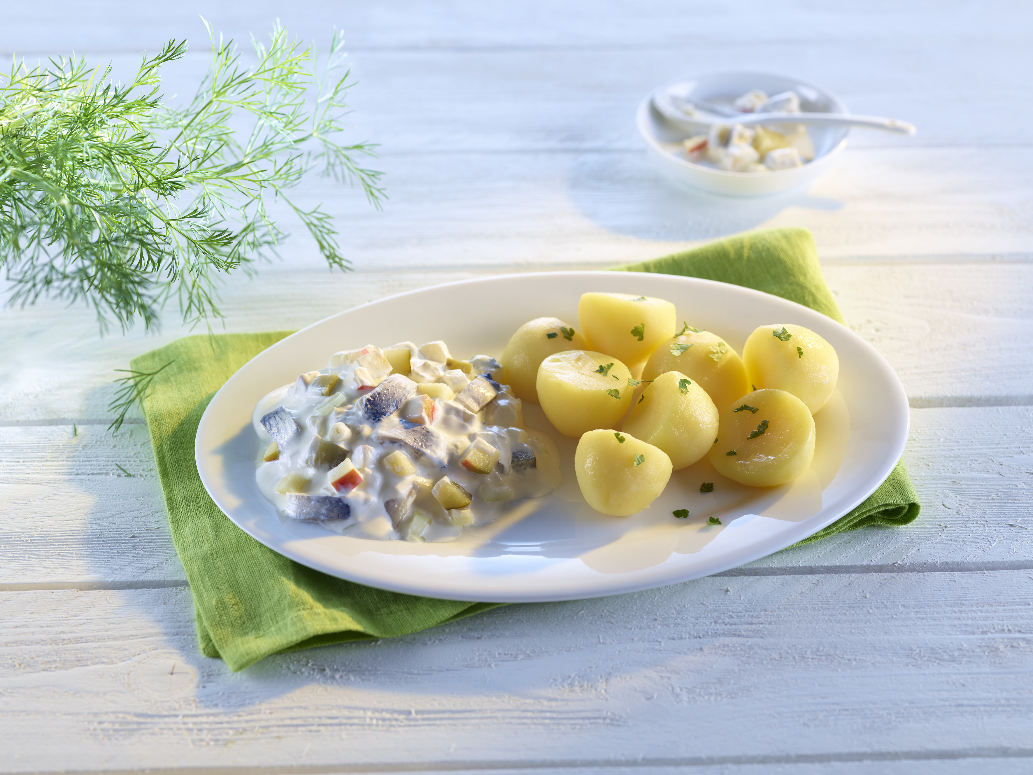 A&K - die frische Küche - Ihr qualifizierter Partner für hochwertiges und abwechslungsreiches Catering für Schulen, Unternehmen, Seniorenheime u.vm. mit regionalen Bio Produkten von Vollkost bis Vegetarisch oder Diätkost direkt aus der Cook & Chillküche - Counter Mahlzeiten